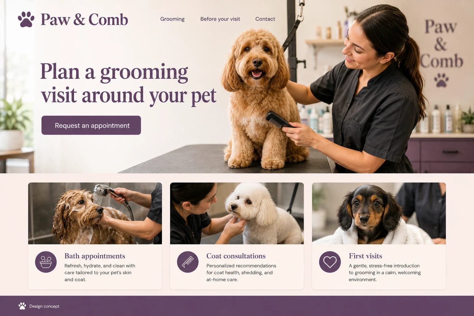 Pet Groomer illustrative website concept